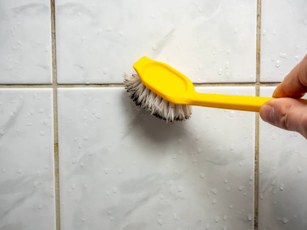Best Residential Mold Removal  in Annetta, TX