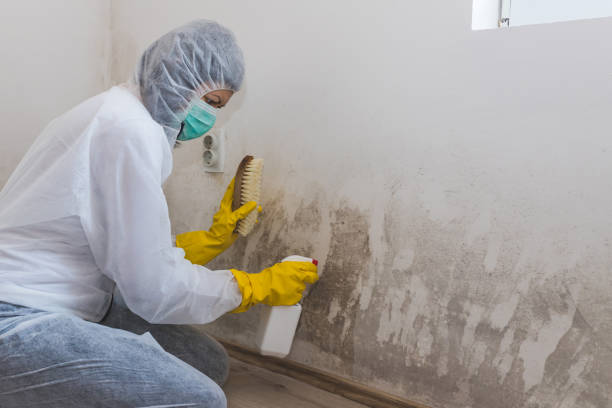 Best Mold Inspection  in Annetta, TX