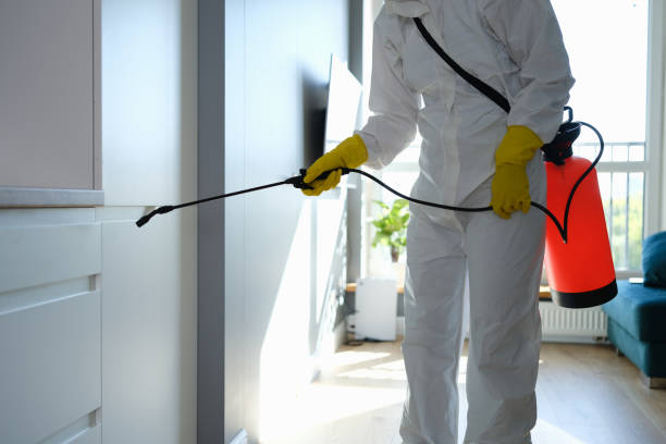 Mold Testing and Removal in Annetta, TX