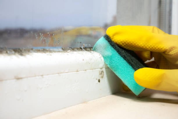 Best Crawl Space Mold Removal  in Annetta, TX