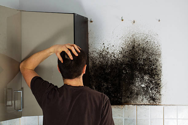 Best Mold Testing  in Annetta, TX