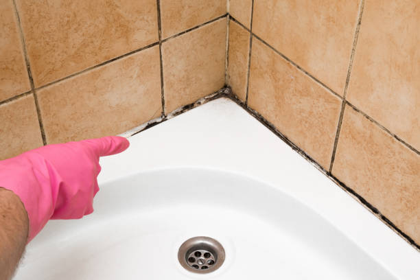 Best Mold Cleaning Services  in Annetta, TX
